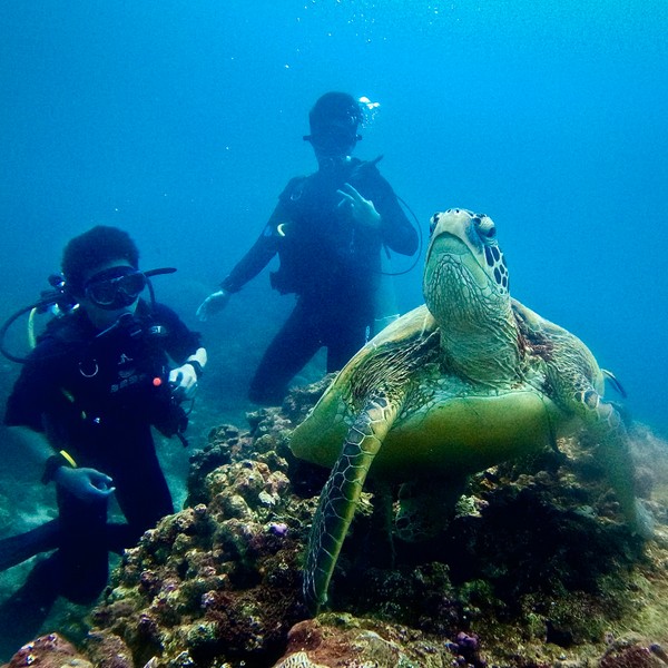 diving